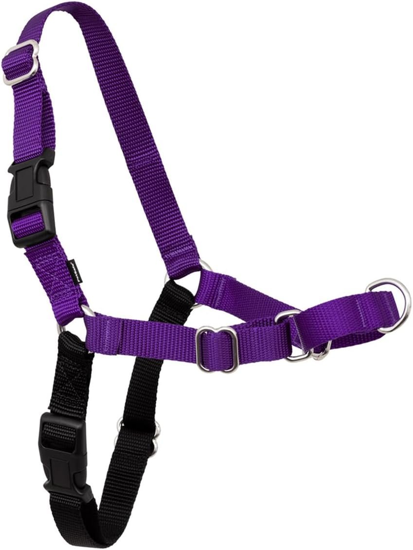 PetSafe Easy Walk Harness for Dogs – Pull-Free Walks – Patented Martingale Loop Design – Front Chest Leash Attachment – Comfort Straps – Breathable Harness Design – Medium/Large, Black/Silver