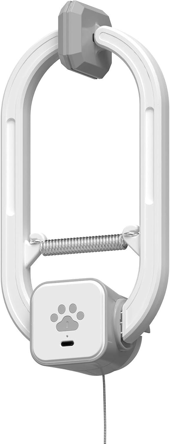 Interactive cat toy, Electric cat teaser, Door clip, 2 Motion modes,Gray | 360° Rotation • Random Jumping • Type-C Rechargeable • Door Clip Design • For Indoor Cats