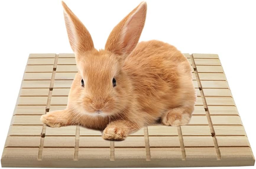 Litewoo Rabbit Scratch Board Claws and Teeth Care Chew Toys Bunny Wood Pad | Natural wood, antiskid & edible, rabbit scratch board for digging/chewing, for chinchilla/guinea pig, 10.63″x7.87″x0.6″