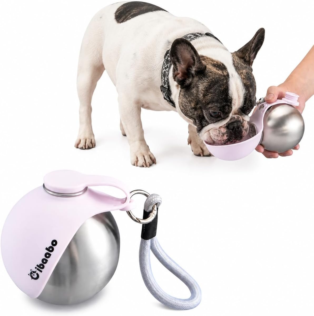 Cibaabo Portable Dog Water Bottle with Collapsible Silicone Bowl 10 oz | Stainless Steel Water Ball | Compact with Clip & Rope | Travel Pet Dispenser | for Small Dog & Puppy | Walking Hiking Beach