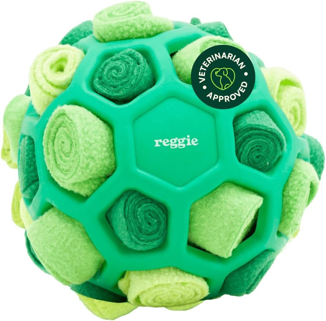Reggie Snuffle Ball for Dogs | Interactive Treat Dispensing Dog Enrichment Toys | Reduces Boredom, Stress & Hyperactivity | Snuffle Toys for Dogs | Durable & Washable Dog Puzzle Toy I Green