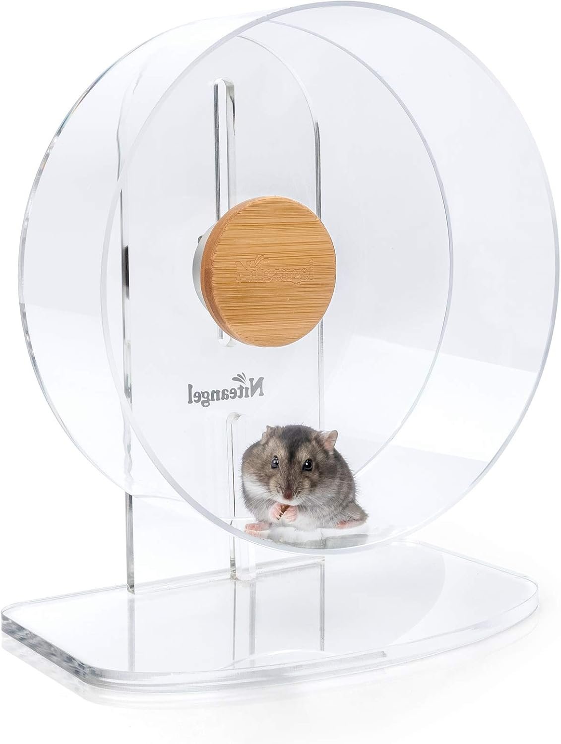 Niteangel Silent Hamster Exercise Wheel: – Dual-Bearing Quiet Spinning Acrylic Hamster Running Wheel for Dwarf Hamster Gerbils Mice Degus Or Other Small Animals (S)