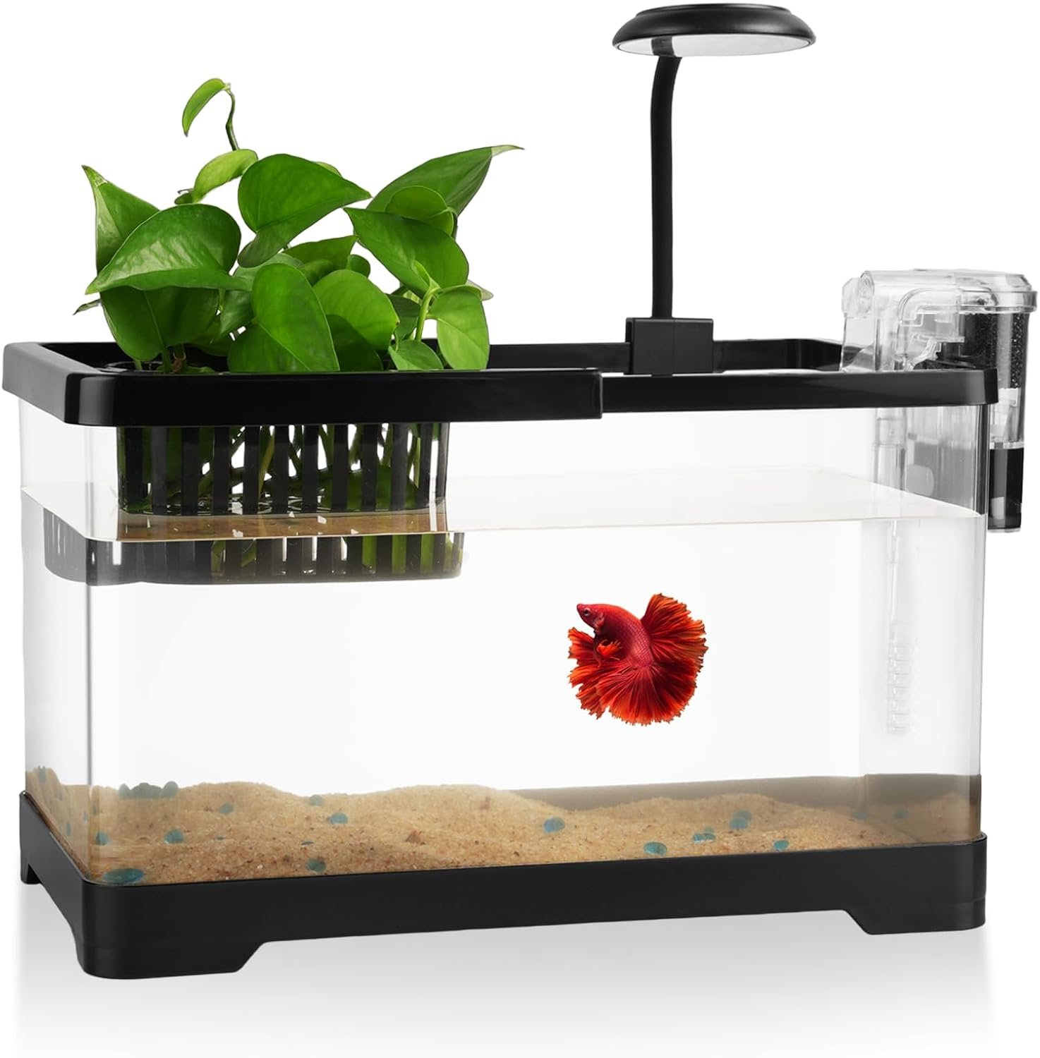 1.8 Gallon Beta Fish Tank Aquariums Kits – Clear Small Fish Bowl Starter Kit with LED Light, Water Filter Pump, Hydroponic Basket – Beginner’s Gift for Guppy Shrimp Goldfish, Rectangular