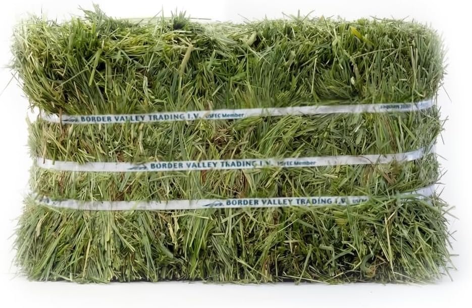 Border Valley Timothy Hay for Rabbits, Guinea Pigs & Tortoises, 40 lb Bale | High fiber grass hay, classic coarse cut, also for chinchillas, horses & livestock, farm-to-home freshness