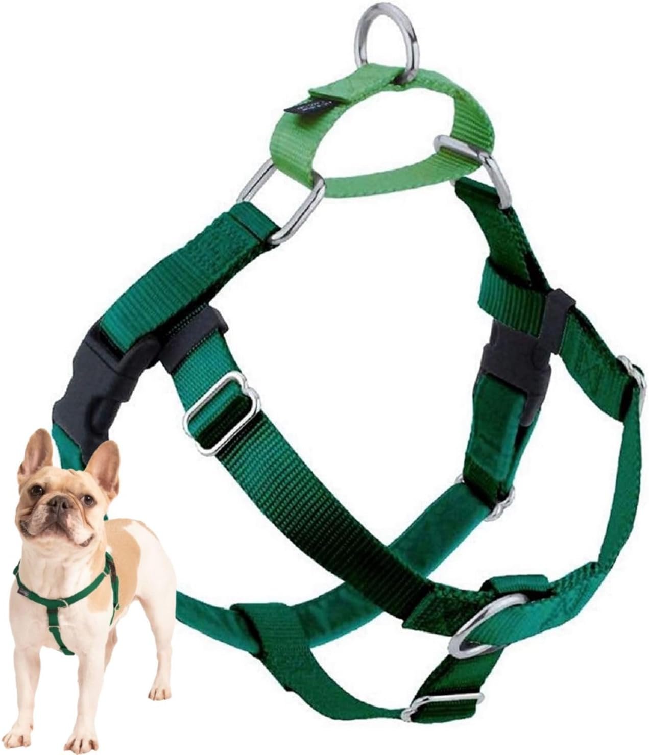 2 Hounds Design Freedom No Pull Dog Harness, Adjustable Harness, Easy Walking & Comfortable Control, Fits Small, Medium & Large Dogs, Solid Colors, Made in USA, 1″ LG, Kelly Green