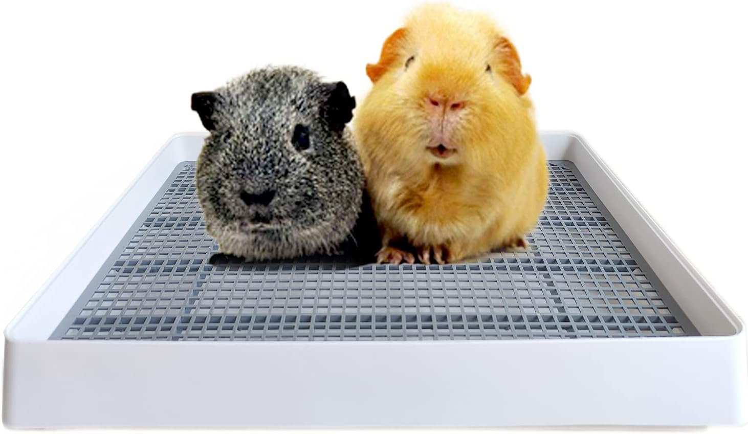 PODOO Rabbit Litter Box – Training Potty Tray for Guinea Pig & Small Pets · Spacious Grid Pan with Low Entrance, Easy-Clean & Odor-Resistant—Helps Keep a Clean Cage and Reduce Mess | Low-entry litter tray with removable grate for cleaner small-pet cages; approx. 14.6 x 11.8 x 2.6 in.