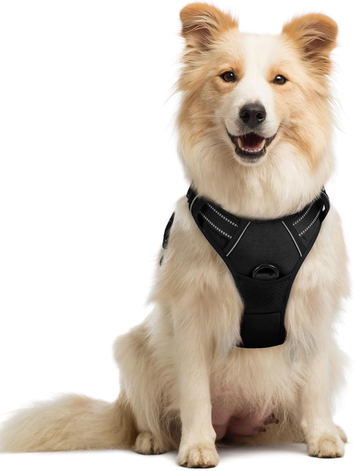 rabbitgoo Dog Harness No Pull with 2 Leash Clips, Adjustable Soft Padded, Reflective Oxford No Choke Pet Vest with Easy Control Handle for Medium Sized Dogs, Black, M | No Choke, Adjustable, Breathable Padded, 2 Lead Rings, Reflective, Easy Control for Walking Training, M, Black