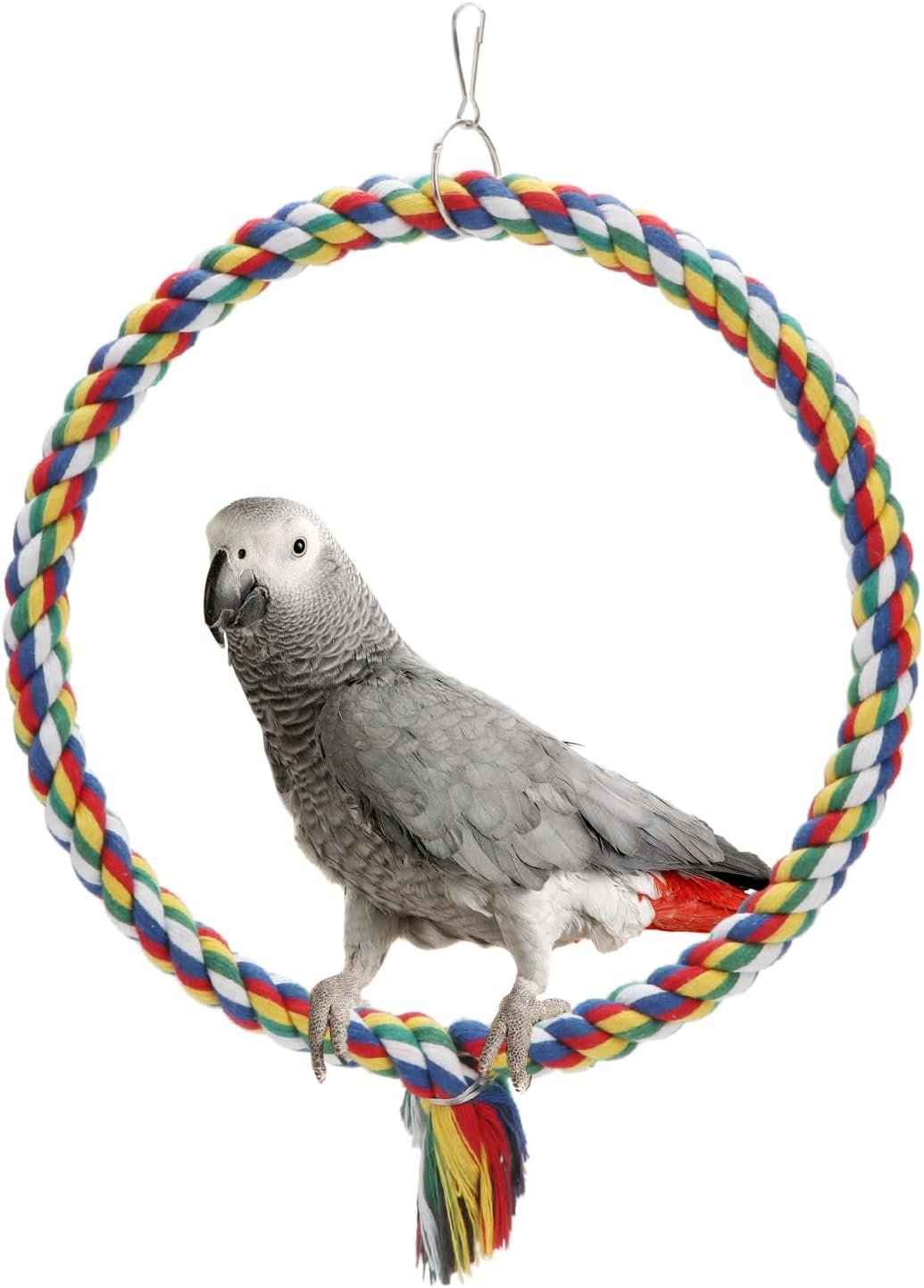 Wontee Bird Swing Colorful Rope Perch Climbing Toy for Parrots (M 10.4inch) | Soft cotton rope, colorful, supports balance, encourages climbing & swinging, for budgie/parakeet/cockatiel/conure