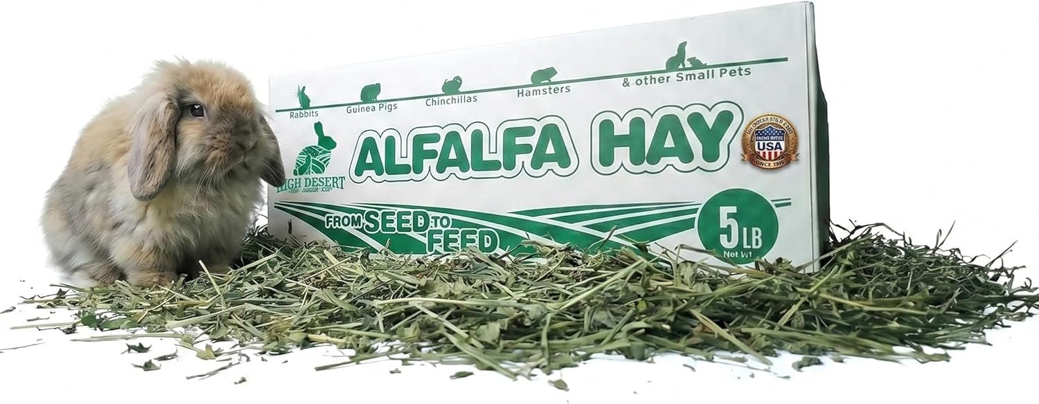 High Desert Alfalfa Hay, Protein Rich Soft Leaf Food for Young Growing Animals, Natural Rabbit Food and Guinea Pig Hay, Supports Digestive Health, Small Pet Supplies, Fresh Hand Packed 5 Lb Box | Protein Rich Soft Leaf Forage, Ideal For Growing Kits And Nursing Mothers, Great Calcium Source, Hand Packed, Low Dust