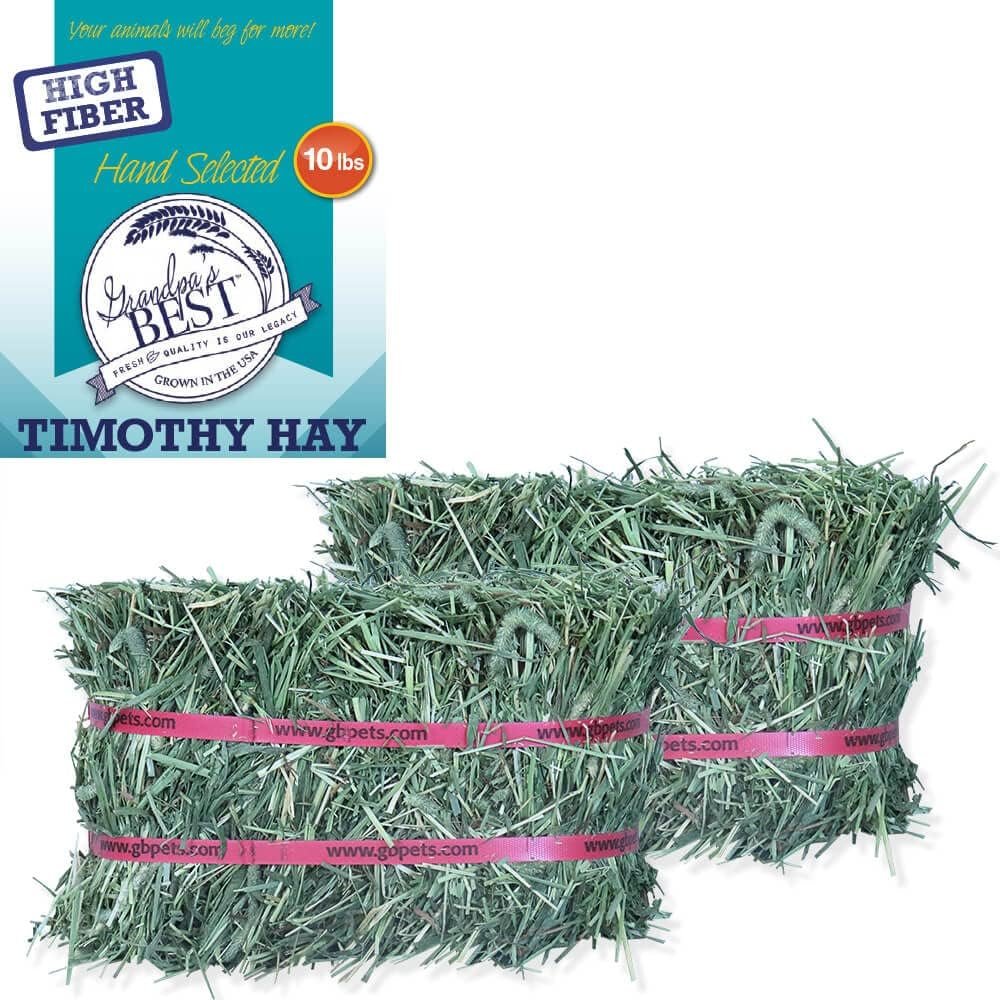 Grandpa’s Best Timothy Hay Mini Bale, 10 Lbs (Packaging may vary),Brown