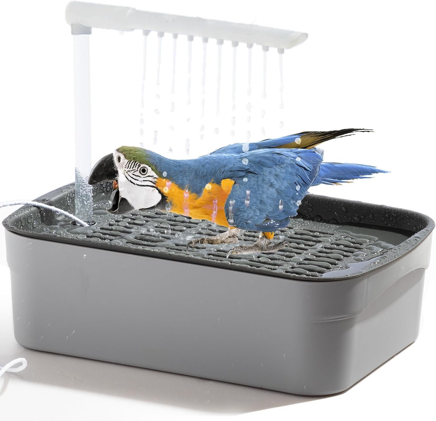 Parrot Automatic Bathing Box with USB- Adjustable Faucet for African Grey, Amazon Conure, & Parakeet – Perfect Summer Bathing Solution (Gray)