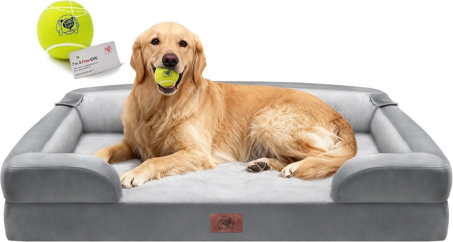 Waterproof Orthopedic Dog Bed for Extra Large Sized Dogs | Memory Foam Pet Bed Sofa with Bolster, Dog Couch with Washable Cover & Non-Slip Bottom, 42×30 Inch, Grey