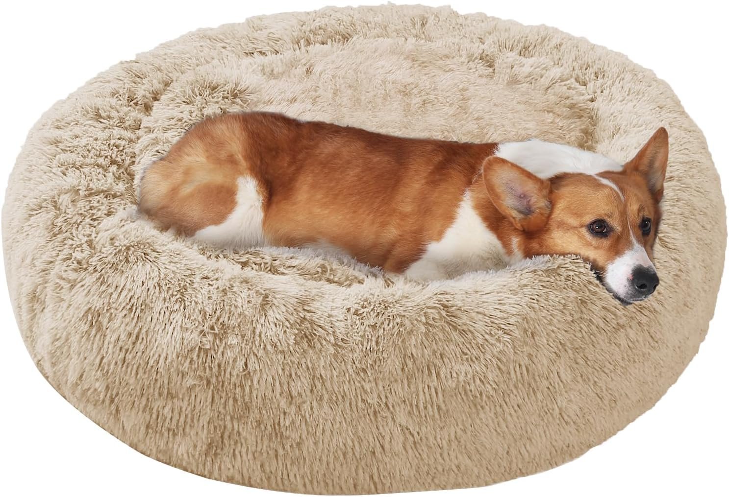 JOLLYVOGUE Dog Bed, Calming Anti-Anxiety Large Dog Bed, Fluffy Donut Cushion for Medium and Large Pets (27″/30″/36″)