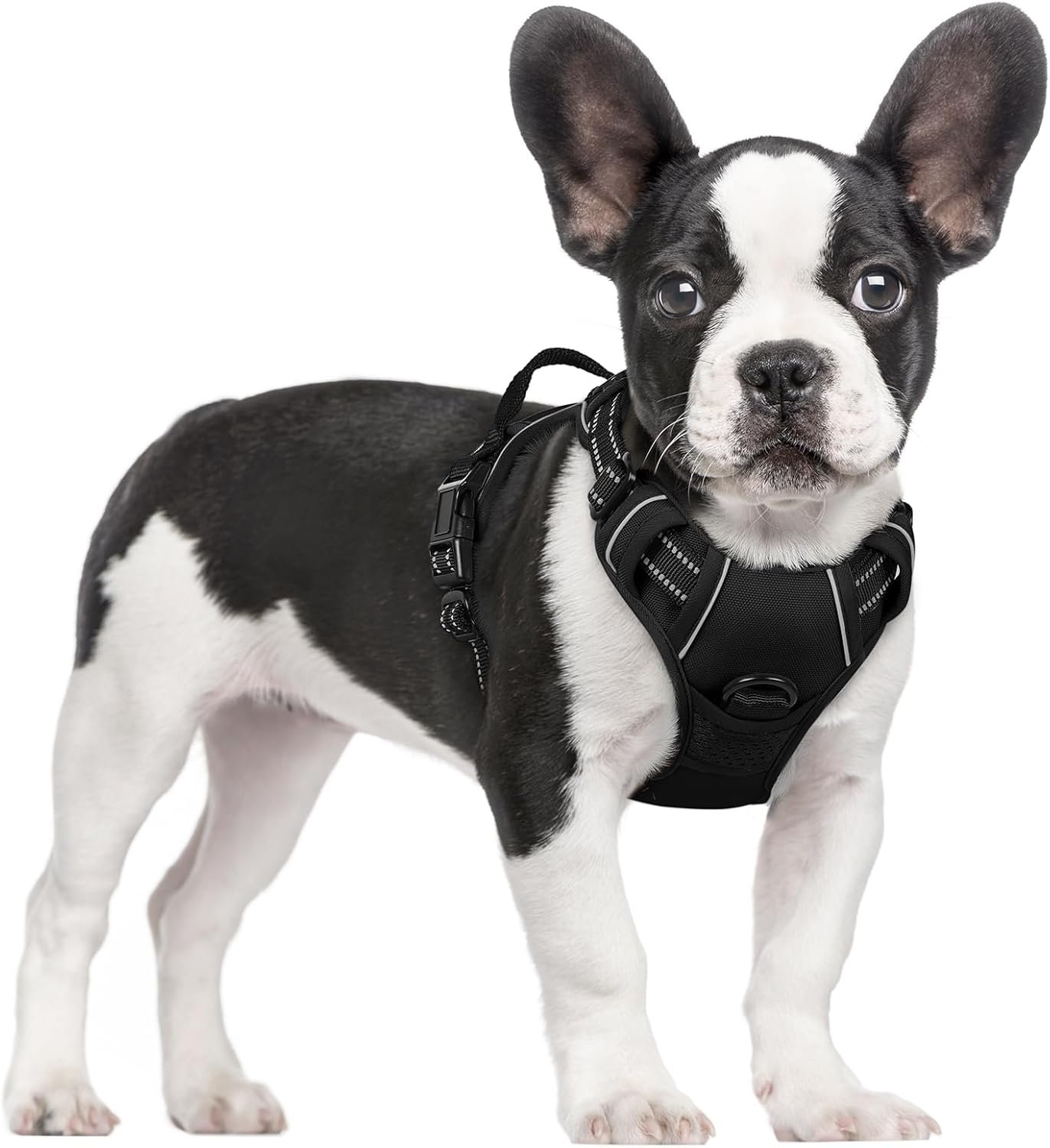 rabbitgoo Dog Harness, No Pull for Small Dogs with 2 Leash Clips, Pet Vest | No Choke with Handle, Adjustable Soft Padded, Reflective, Easy Control for Walking, Black, Small
