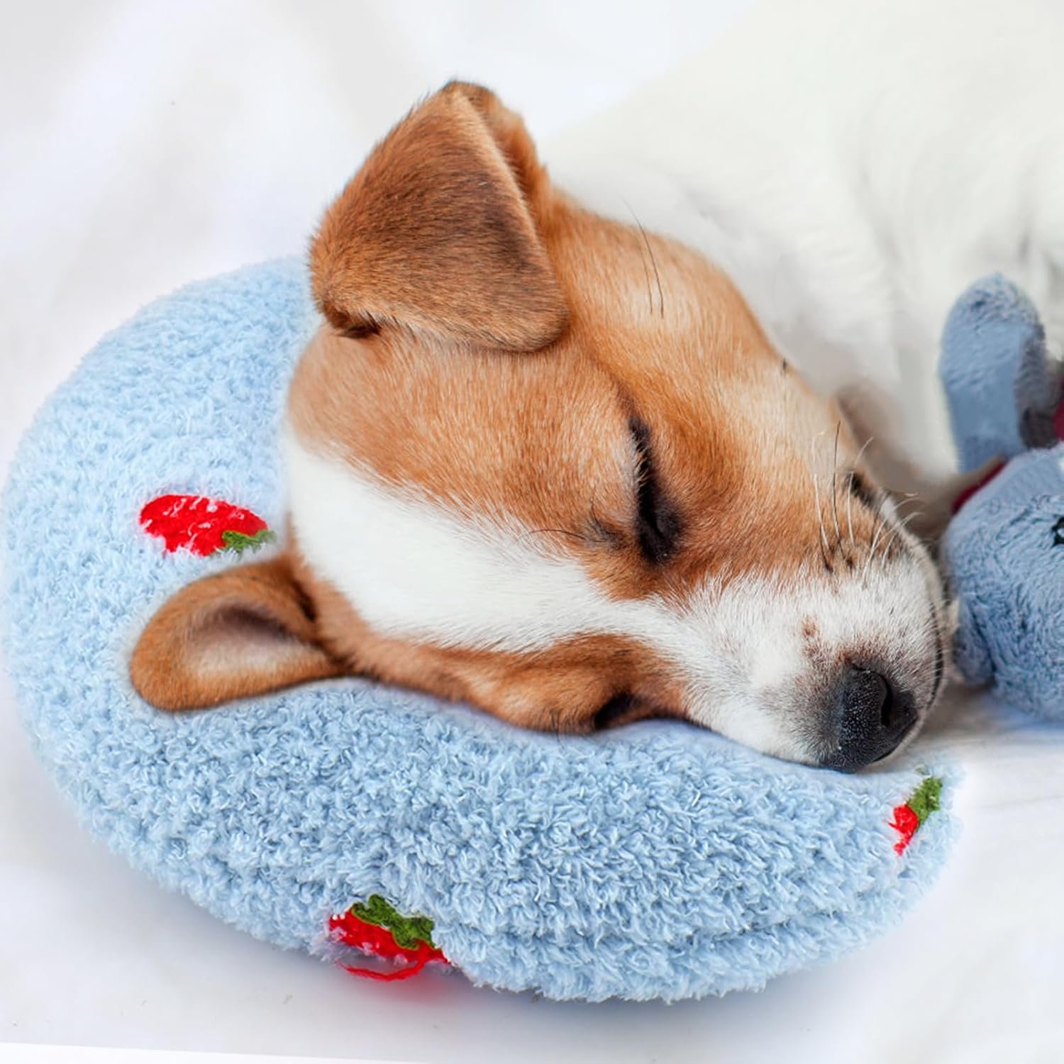 Mity rain Dog Pillow, Anxiety Relief Pillow for Dog | Ultra Soft High Density Calming Pillow for Joint Relief Sleeping Improve, Pet Calming Toy Blue