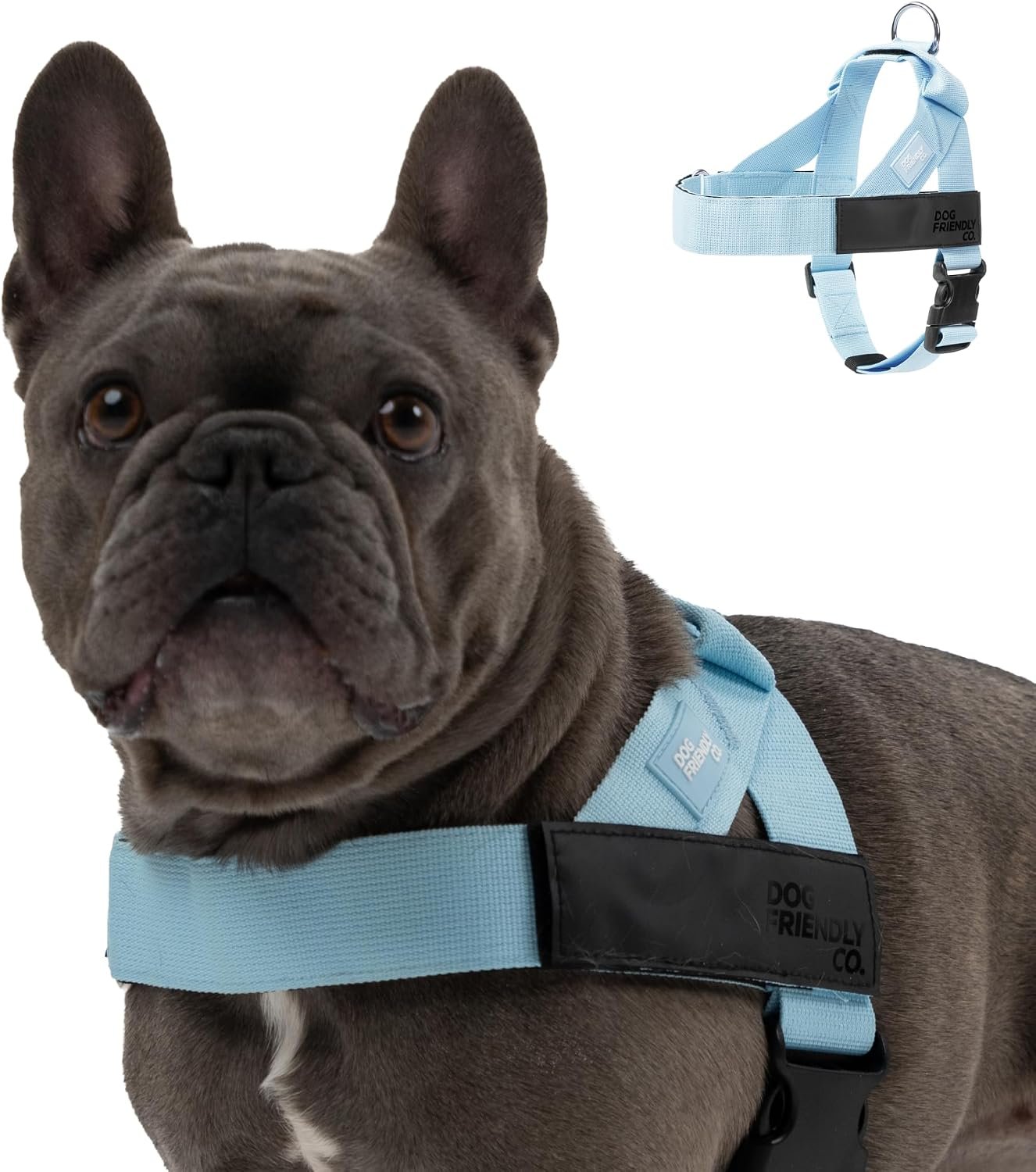 Dog Friendly Co. Dog Harness for Medium Dogs (Sky Blue, Medium) | One Click Buckle, Chafe Resistant Webbing, Adjustable Neck & Chest, and Heavy Duty D-Ring, Sturdy Comfortable and Easy to Use