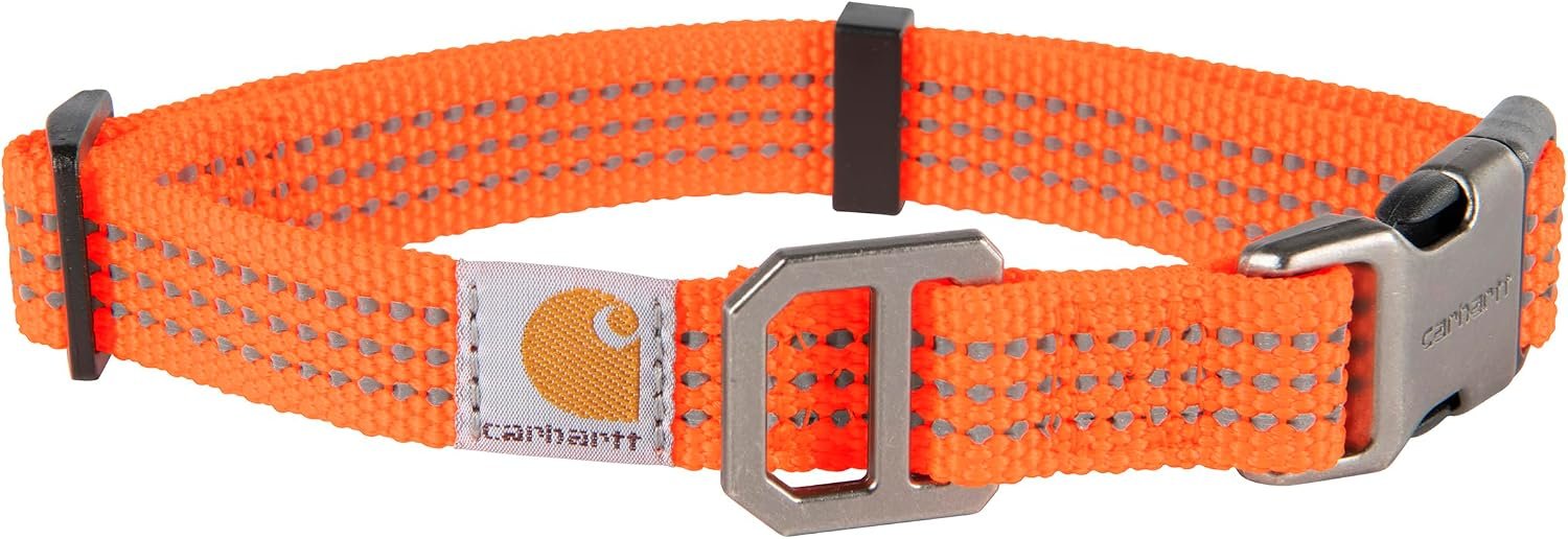 Carhartt Fully Adjustable Nylon Webbing Collars for Dogs, Reflective Stitching for Visibility, Hunter Orange (Nylon Webbing), Medium