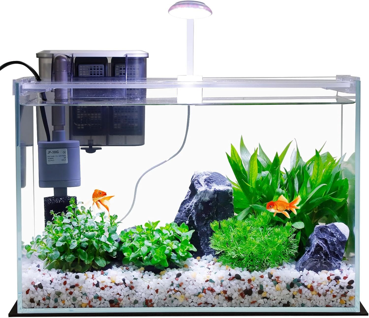 Vimvins 5 Gallon Glass Small Fish Tank with Filter Light and Lid, Betta Aquarium Starter Kits