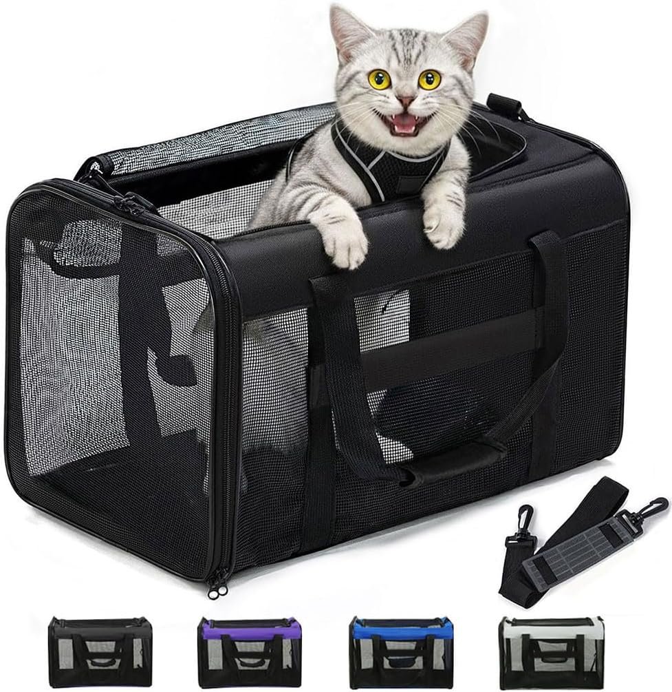 Conlun Cat Carrier Bag,Soft-Sided Pet Carriers for Dogs with 4-Sided Mesh,Airline Approved Cat Transport Carrier for Small&Medium Cats Kitten Puppy Up to 15Lb,Collapsible Cat Travel Carrier-M,Black