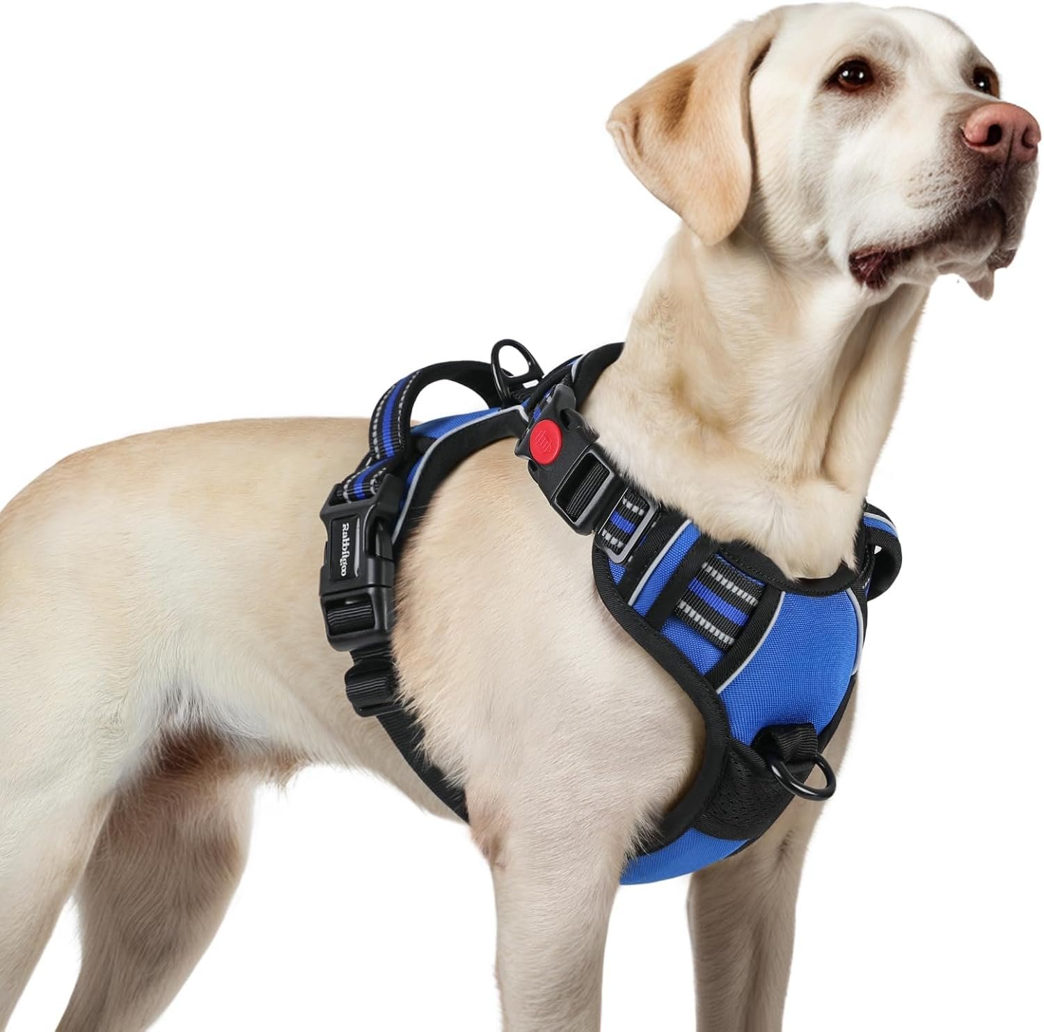 rabbitgoo Dog Harness for Large, Updated Easy On & Off with 3 Buckles | No Pull No Choke, Walking with 2 Clips and Handle, Adjustable Soft Reflective, Blue, Large