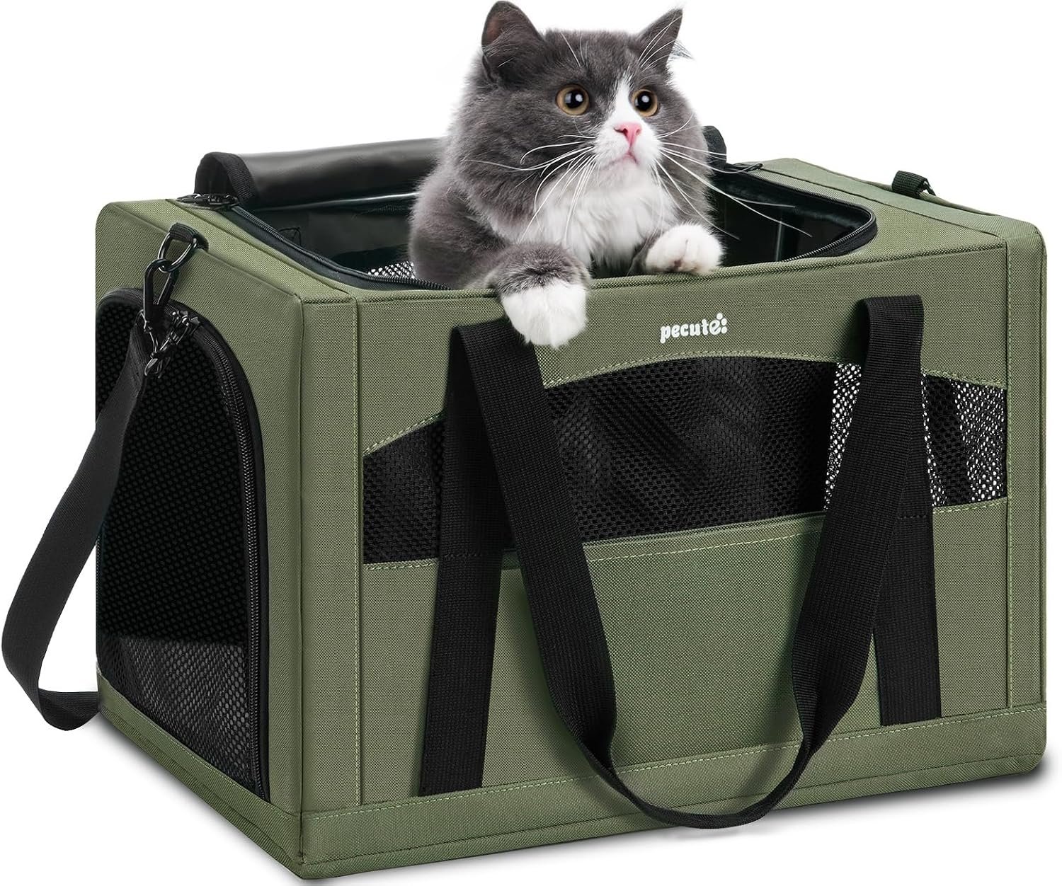 Pecute Cat Carrier Stable, Pet Carrier with Privacy Partition,Green | Safe For Car Travel, Stable Steel Frame, Soft-Sided Pet Carrier Bag For Dogs And Cats Up To 11lbs, Foldable Design.