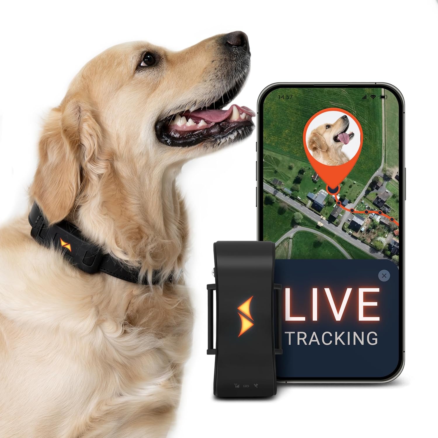 PAJ Dog GPS Tracker 3-Month Subscription Included, Real-time Pet Tracking | Up to 10 Days Battery – Escape Alarm – Virtual Fence – Activity & Health Monitor for Dogs – Live App Tracking