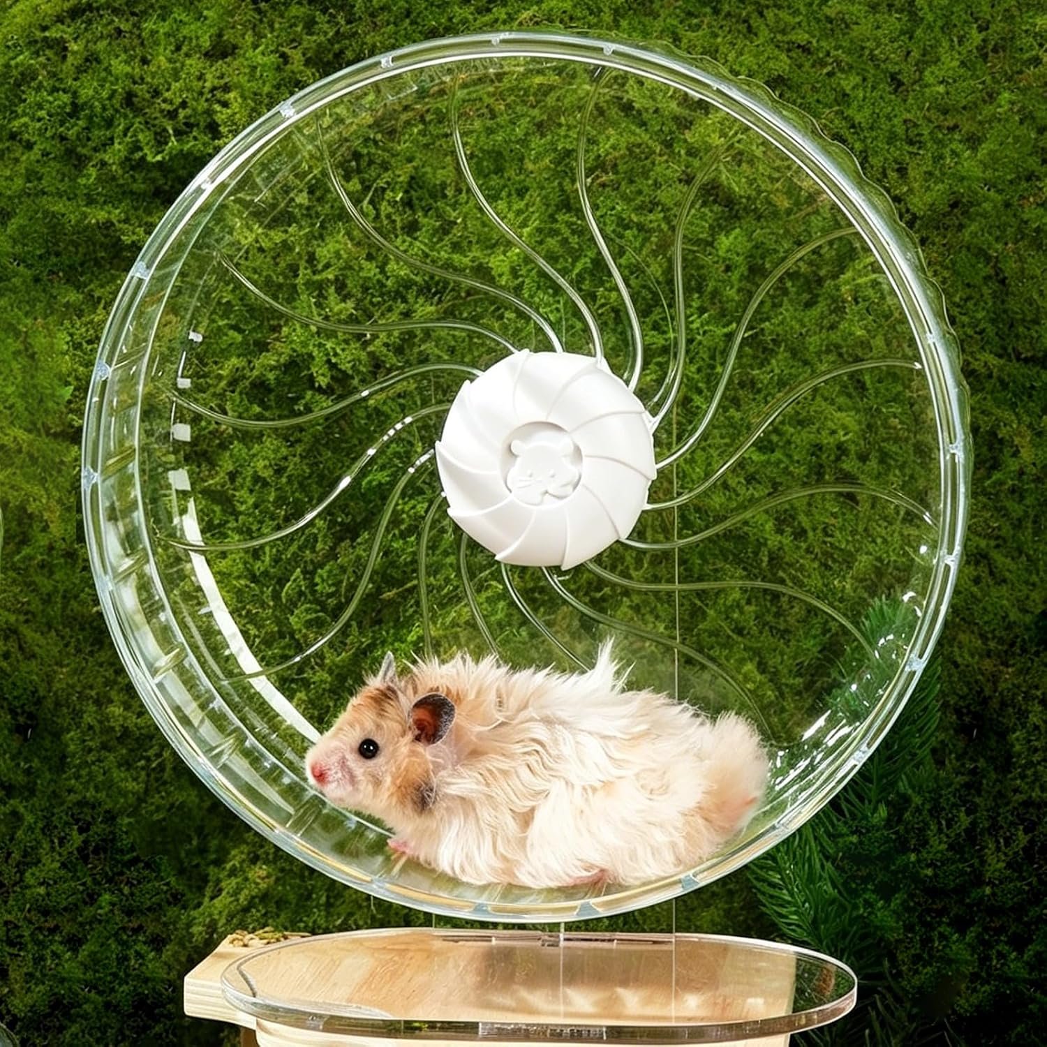 Silent Hamster Wheel, 10.2 Inch, Adjustable Stand, Clear | Clear acrylic wheel with anti-slip track, smooth bearings, and easy-clean design for Syrian hamsters and small pets.