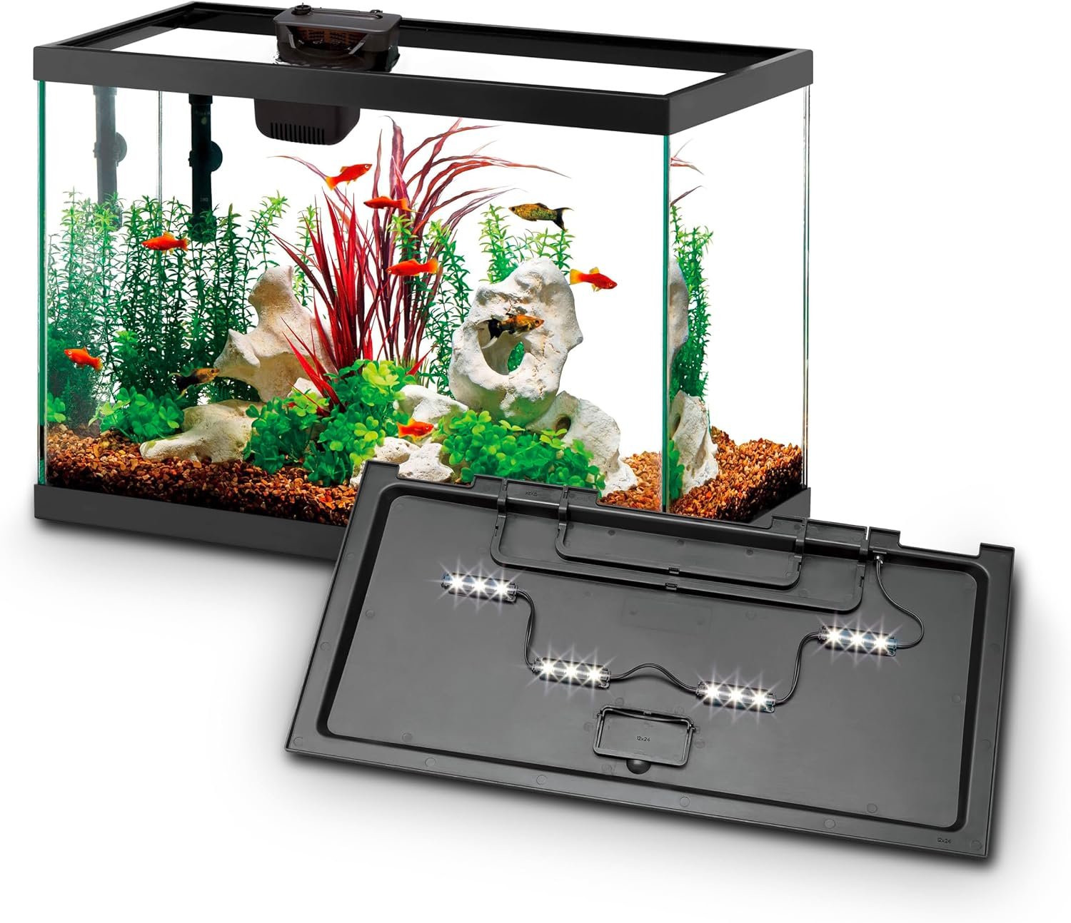 Aqueon Aquarium Starter Kit with Smart Clean Filtration and LED Lighting, Freshwater and Saltwater Fish, 20-Gallon