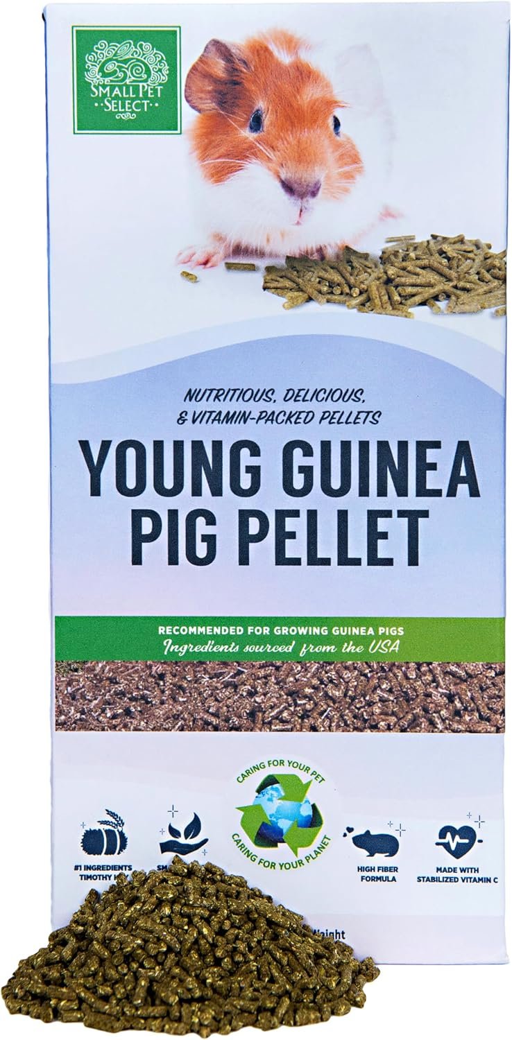 Small Pet Select Young Guinea Pig Pellet Food, High Fiber, 5 lb | Timothy Hay Based Formula, High Fiber, Supports Growth & Development, Wholesome Nutrition for Young Guinea Pigs