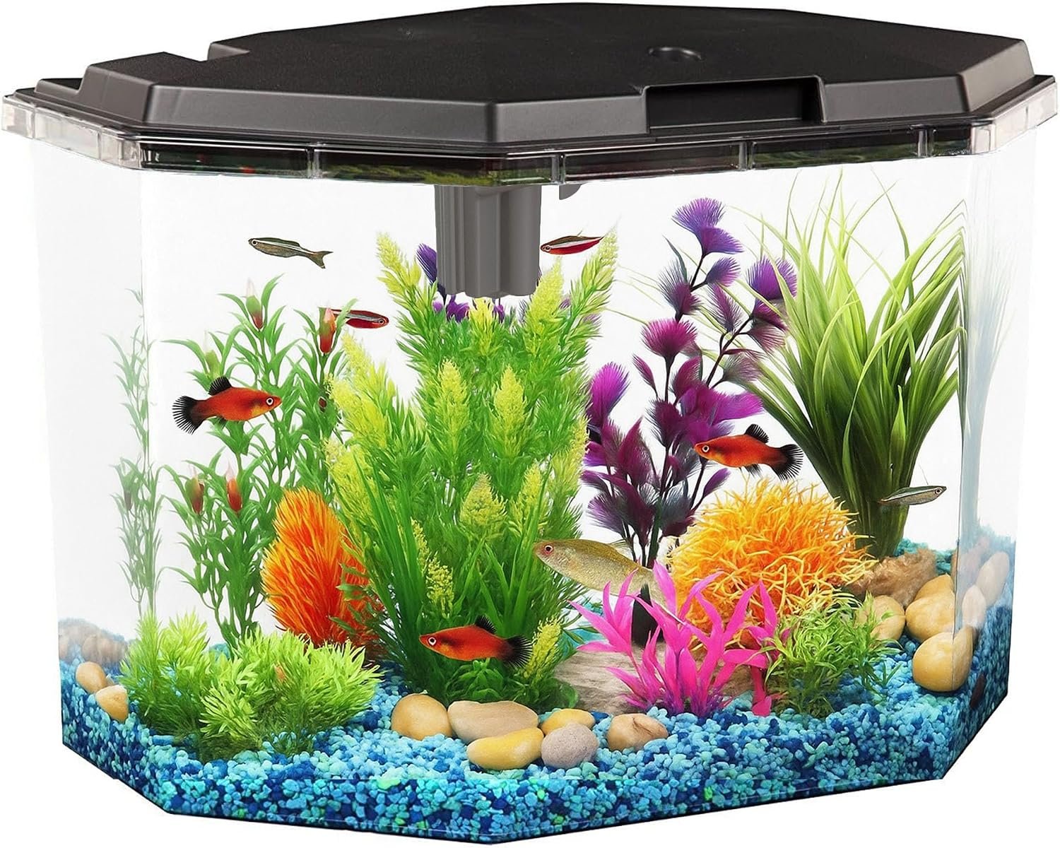 Koller Products 6.5-Gallon Aquarium Kit with Power Filter and LED Lighting, (AP650)