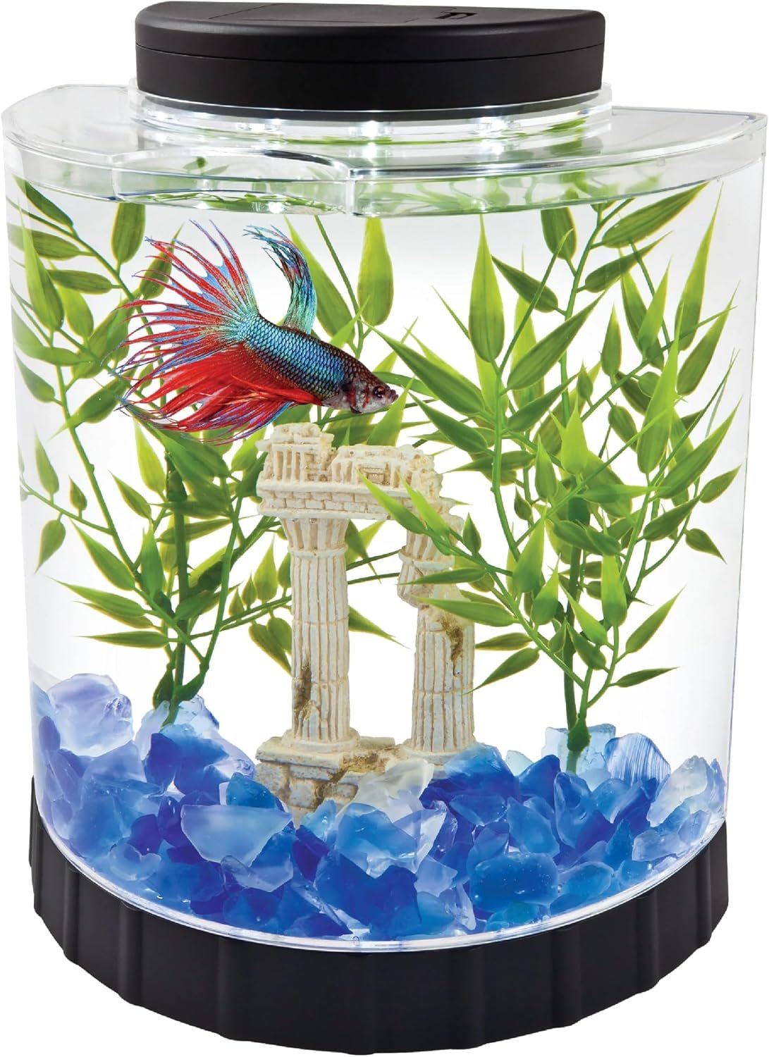 Tetra LED Half Moon Aquarium Kit, 1.1 Gallons, Small, Clear Plastic Fish Tank With Curved Front, Easy Feeding And Movable, Energy-Efficient LEDs Ideal For Bettas Great As Desk Aquarium