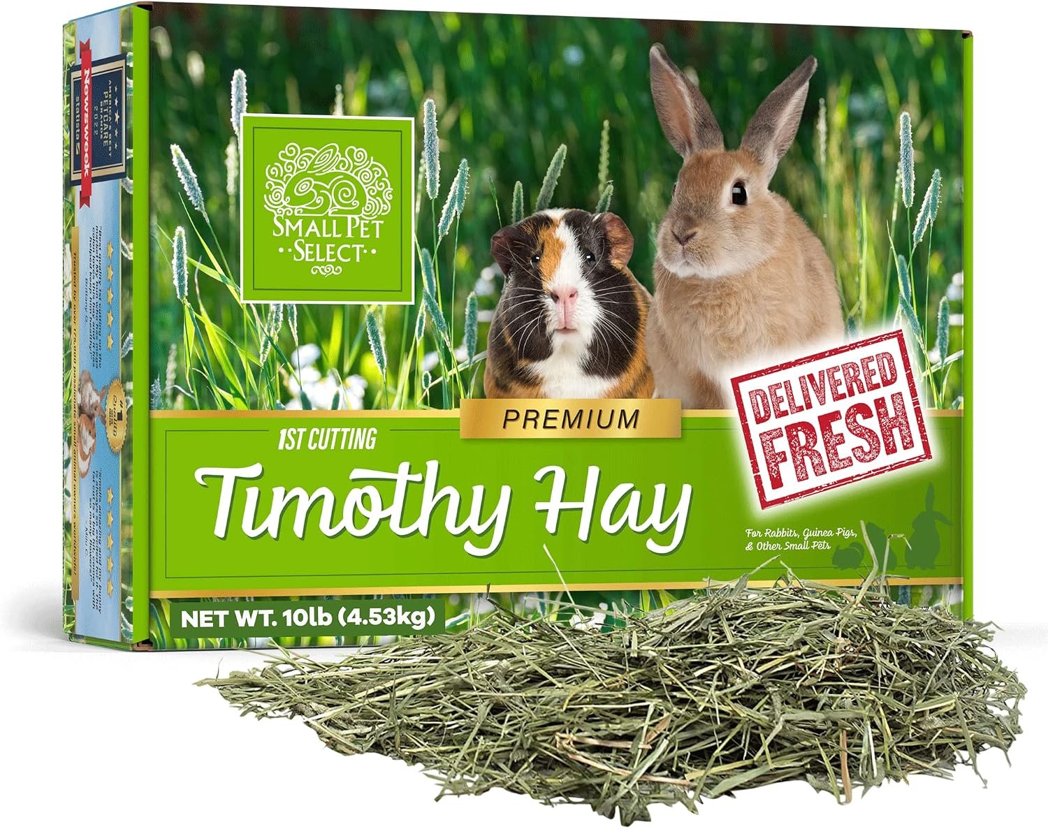 Small Pet Select 1st Cut Timothy Hay Pet Food for Rabbits, Guinea Pigs, and Other Small Animals, Easy to Store Box, 10 LB | High Fiber Natural Hay, Grown in USA, Long Coarse Strands for Dental Wear, For Chinchillas, Hamsters, Bunnies & Small Pets