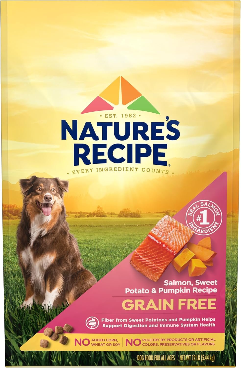 Nature’s Recipe Grain Free Dry Dog Food, Salmon, Sweet Potato & Pumpkin Recipe, 12 lb. Bag