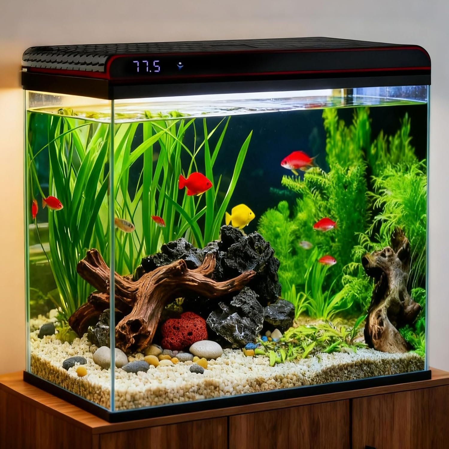 Coospider 20 Gallon Glass Fish Tank, Aquarium Starter Kit, Simple Self-Cleaning Aquarium with 3-Color LED Lights, with Quiet Filter Pump, with Temperature Monitoring for Fish, Shrimp, Kids Gift Ideas