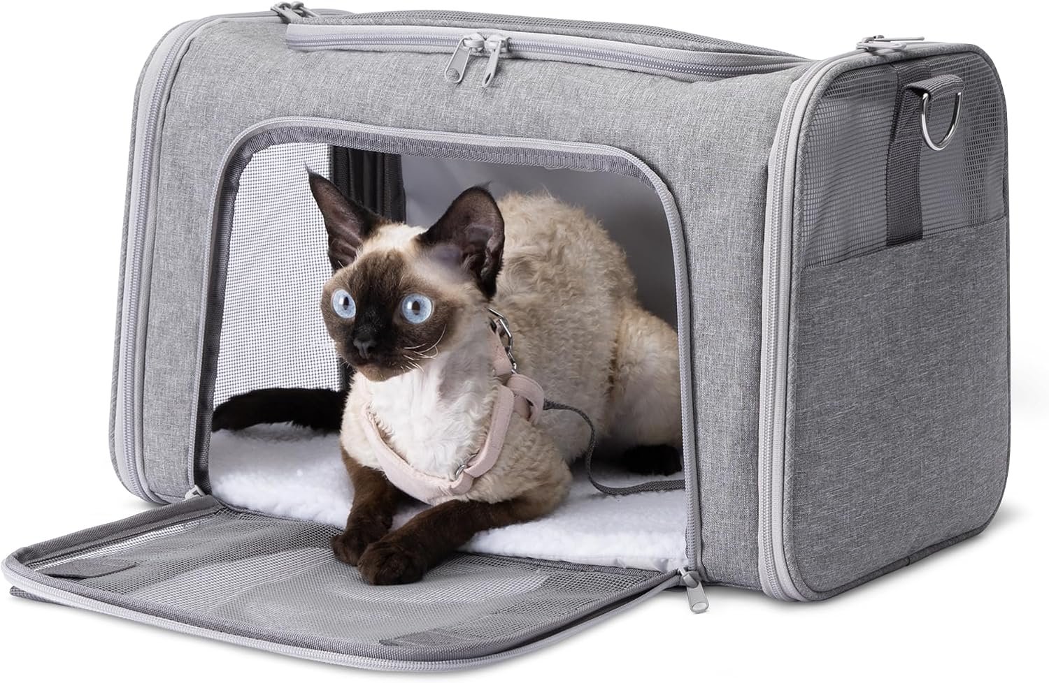 Amazon Basics Soft Cat & Dog Carrier with Adjustable Shoulder Strap, Airline-Approved, Foldable and Portable Design, Mesh Ventilation, Folds Flat for Storage