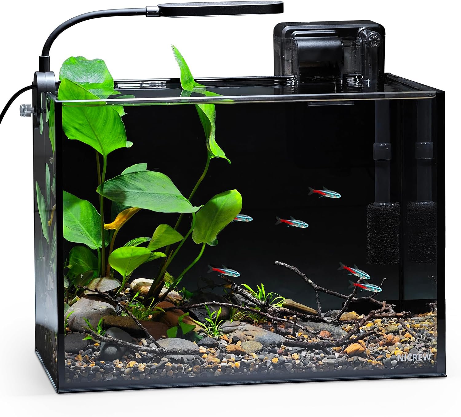 NICREW 2.5 Gallon Nano Nature Aquarium Kit, Ultra-Clear Rimless Desktop Fish Tank with Light, Filter, Gravel and Rock, Perfect for Small Fish, Shrimp, or Betta, Complete Version, Black