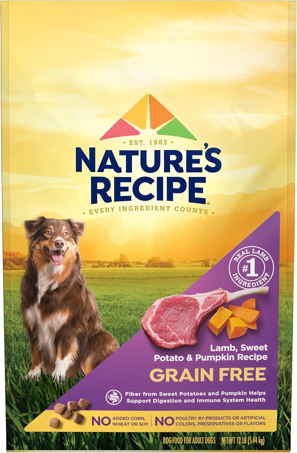 Nature’s Recipe Grain Free Dry Dog Food, Lamb, Sweet Potato & Pumpkin Recipe, 12 lb. Bag