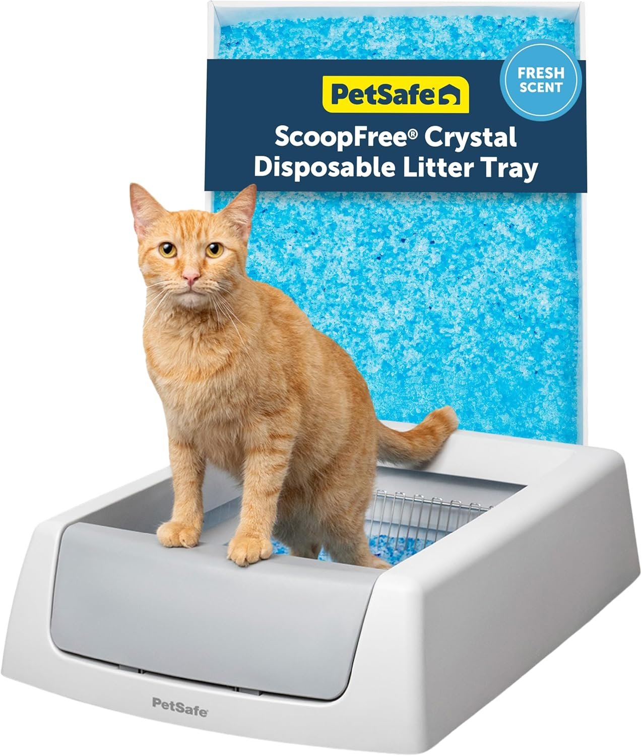 PetSafe ScoopFree Crystal Classic Self-Cleaning Litter Box, Gray | Hands-Free Automatic Cleaning, Advanced Odor Control, Easy Clean-up, Includes 1 Disposable Crystal Litter Tray