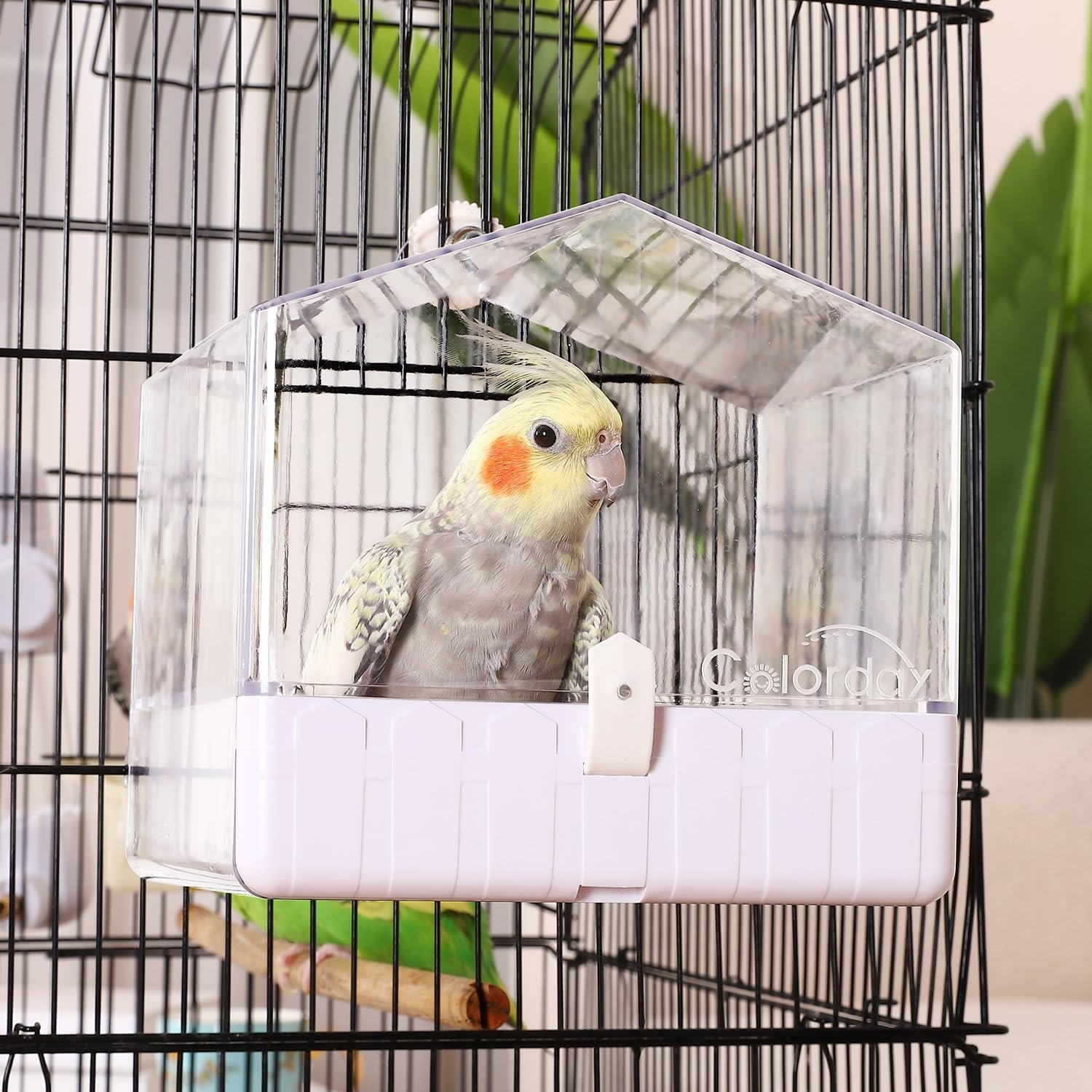 Colorday Hanging Bird Bath for Cage, Pet Parrot Bath, 6.7X6.7X7.74 inch | For Small to Medium Birds, Parakeets, Cockatiels, Budgie, Quaker, Conure, Lovebirds, Finches