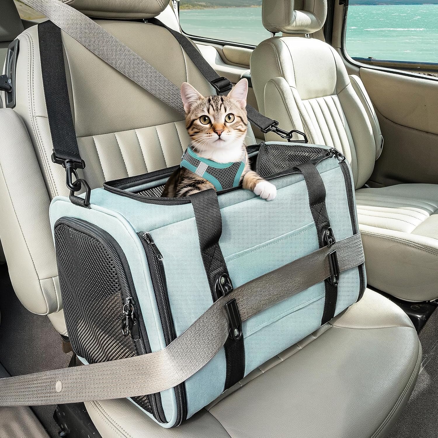 PETSFIT Cat Carrier Soft with Patented Safety Buckles, Safe for Car Travel | Lockable Zippers, Safety Tether, Escape-Resistant Pet Carrier for Vet Visits, Airline Approved Under-Seat, Up to 12 lbs
