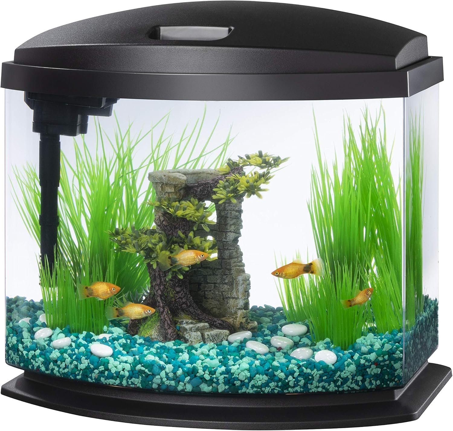 Aqueon MiniBow Small Aquarium Starter Kit, All-in-One Desktop Fish Tank for Betta, Shrimp or Small Fish, Includes SmartClean Filter Technology, LED Light and Conditioner, Black, 5 Gallon
