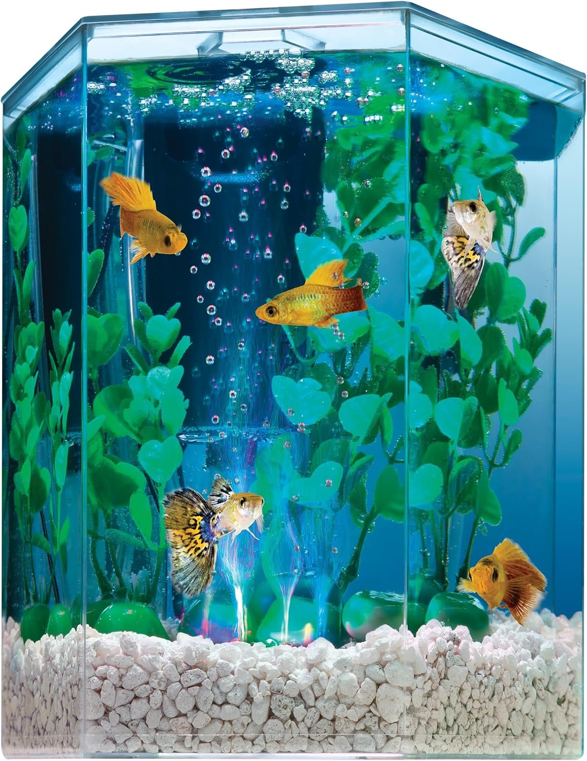 Tetra Bubbling LED Aquarium Kit 1 Gallon, Hexagon Shape, With Color-Changing Light Disc