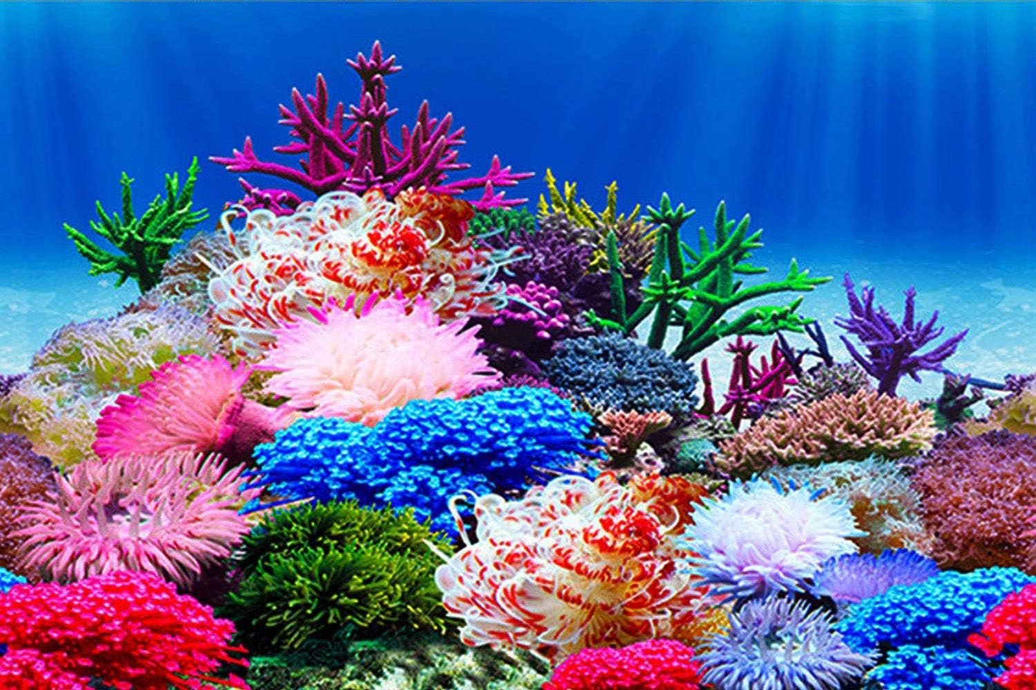 ELEBOX Aquarium Background Poster, Undersea Water Plants Sea Anemone Coral Aquarium Decor Background Double Sides Fish Tank Background Sticker Decorations 10 Gallon 20 Gallon Tank 11.8″ x16.5″