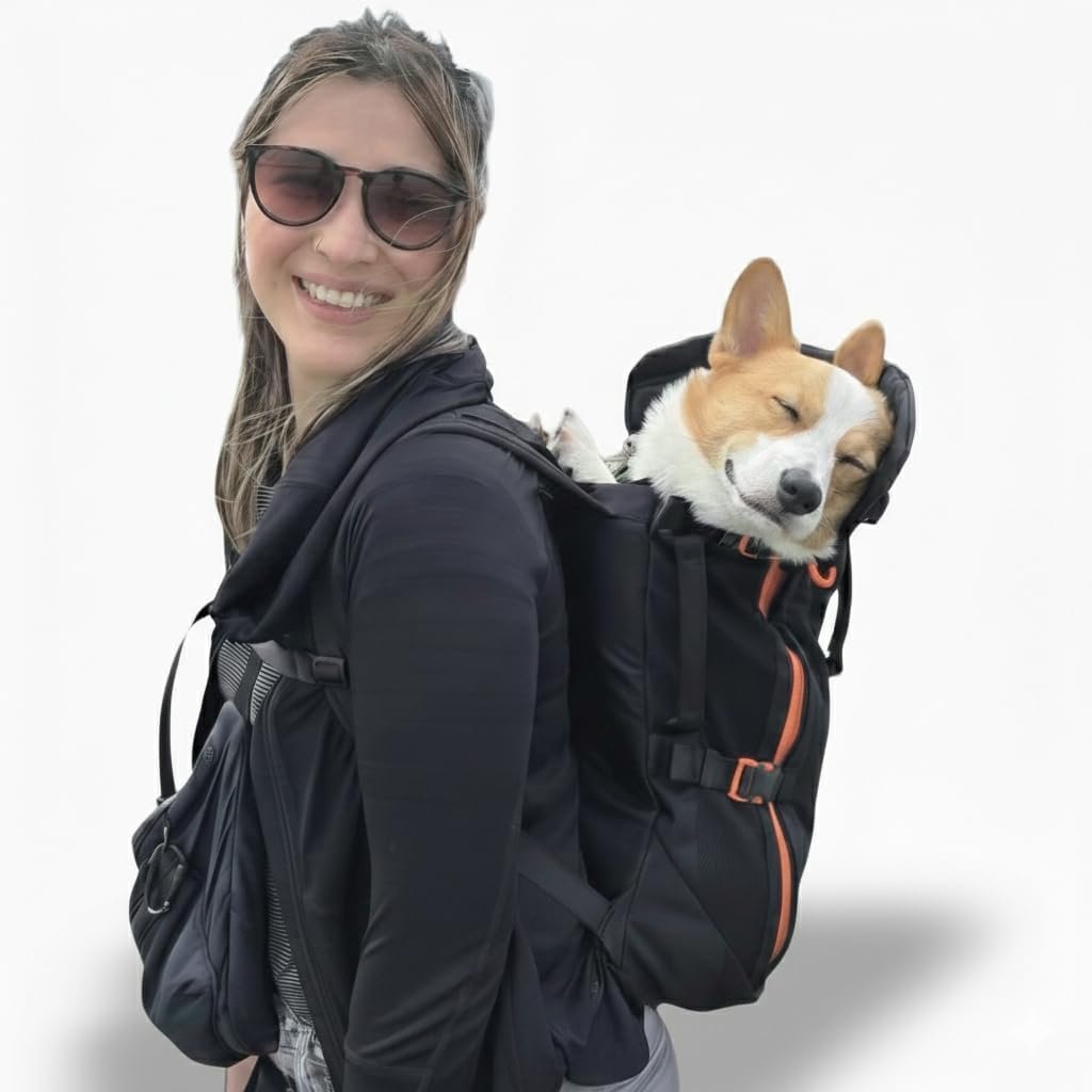 Maxine One Dog Backpack Carrier for Medium Dogs (Black) | Adjustable & Ergonomic Pet Carrier, Built to be Safer, Hands Free Travel & Hiking, Front Facing, Featured in Wired Magazine