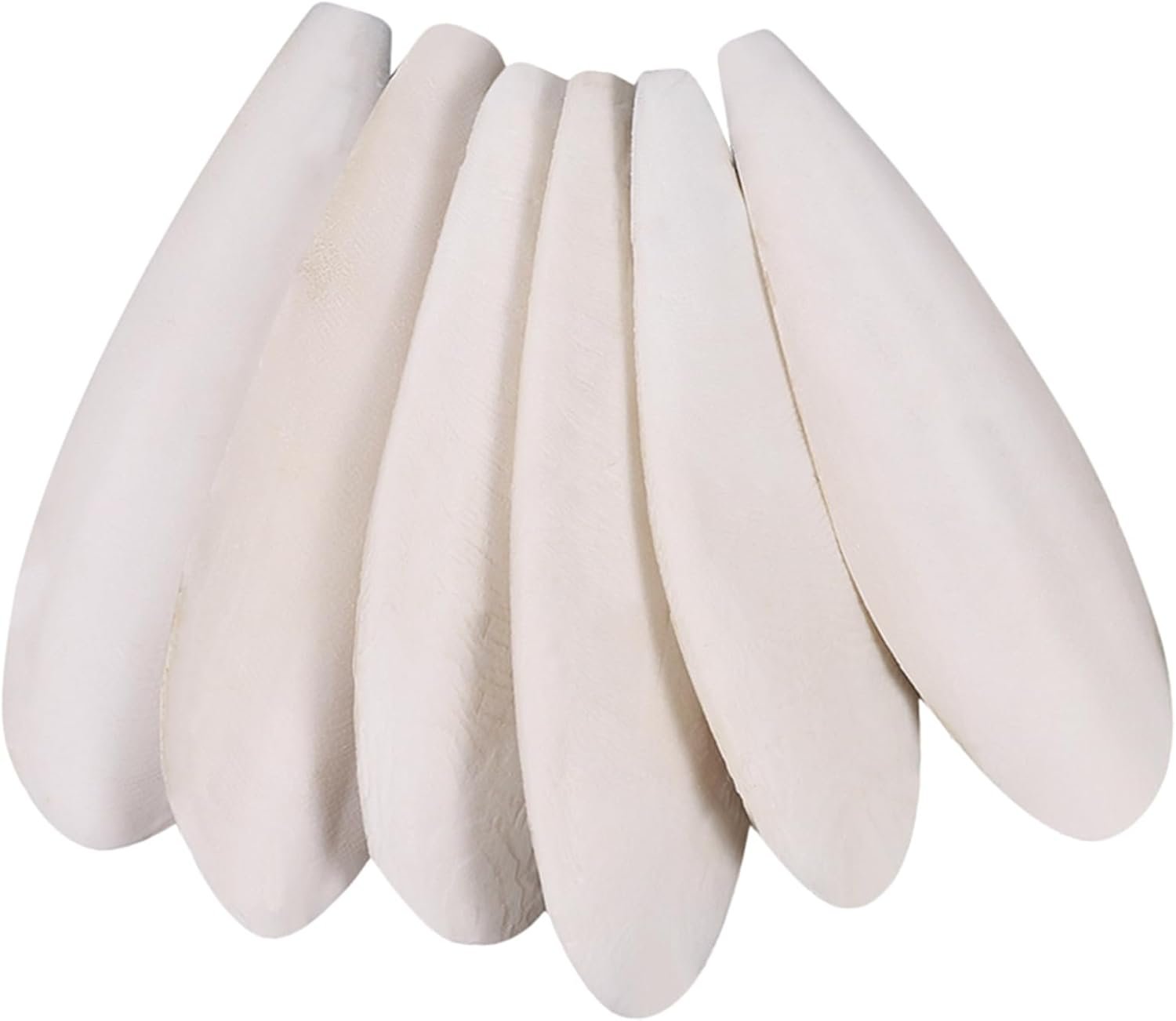 6 Pcs Natural Cuttlebone Parakeets, 9.5-10.4cm/3.7-4 inch | Pure Cuttlebone Calcium Stone for Tortoise Parakeets Canaries Cockatiels Turtles Cockatiel