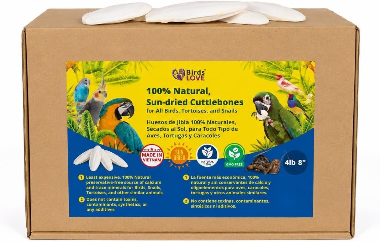 Birds LOVE 7.5-8″ Cuttlebones for Birds – 100% Natural Sun-Dried Calcium & Beak Conditioning Supplement for Parakeets, Budgies, Cockatiels, Finches & Canaries – 4 lb with Holder – Made in Vietnam