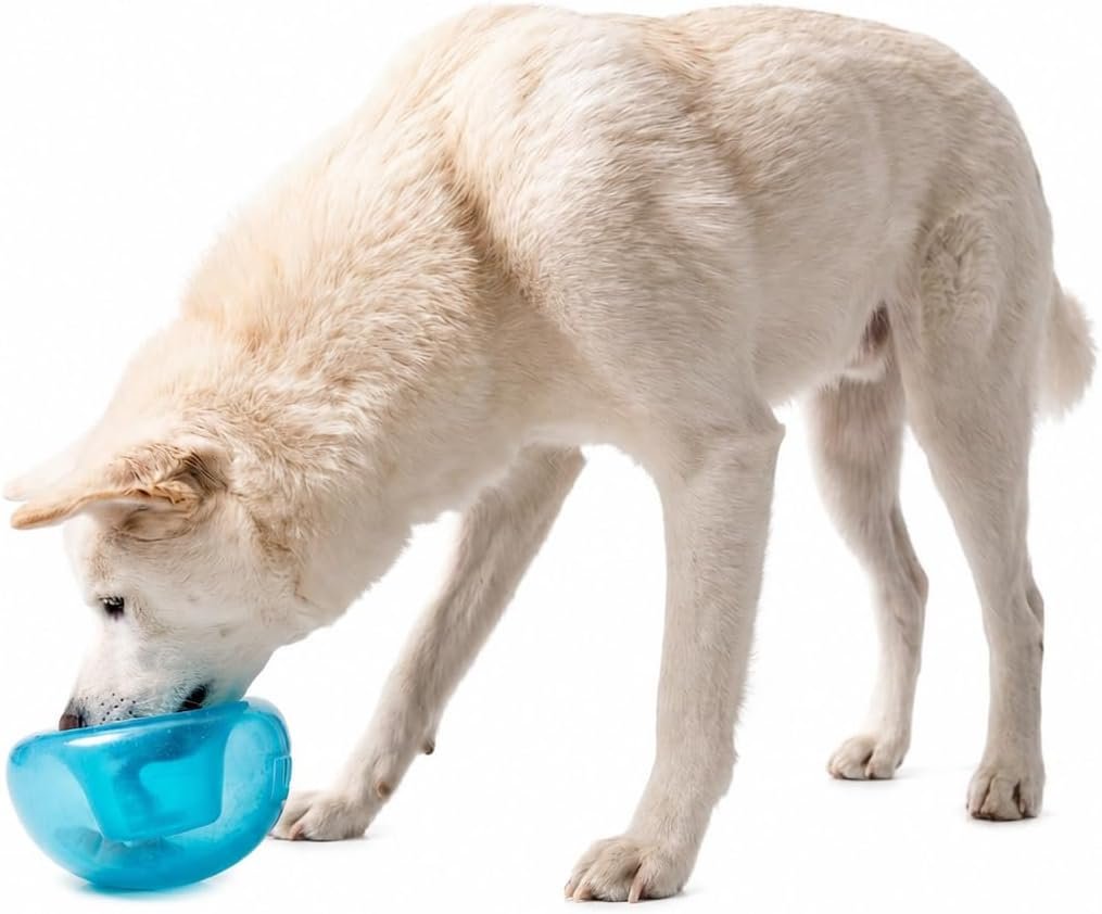 Outward Hound by Planet Dog Snoop Dog Toy – Treat‑Dispenser Puzzle Ball, Interactive Slow Feeder, Medium to Large Dogs, Bouncy & Mint-Infused, Blue, 5″