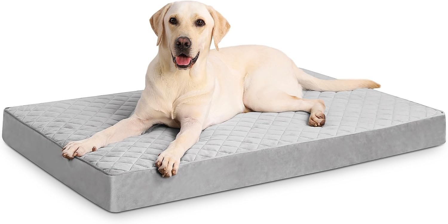 NUPIDA Orthopedic XL Dog Beds Large Sized with Washable Cover, 41×27, Grey | Egg-Crate Foam, Cozy Velvet Pet Mattress, TPU Waterproof Layer, Comfy Support, Anti-Slip Base, Big Large Breeds up to 80lbs