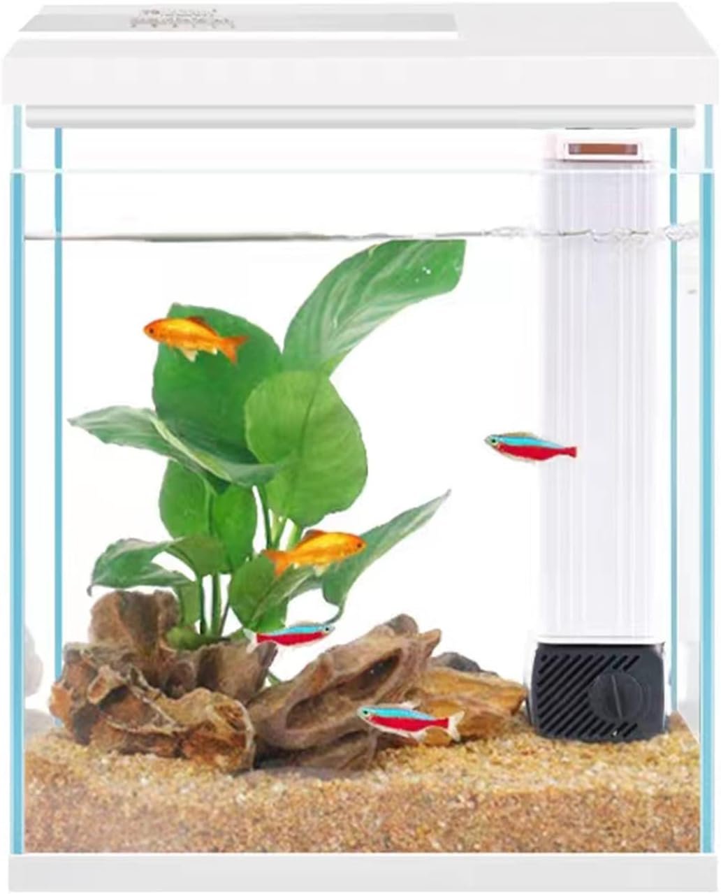 Pronetcus Betta Fish Tank, 2 Gallon Glass Aquarium Starter Kit, Small Fish Tank with Filter and Light.(White)