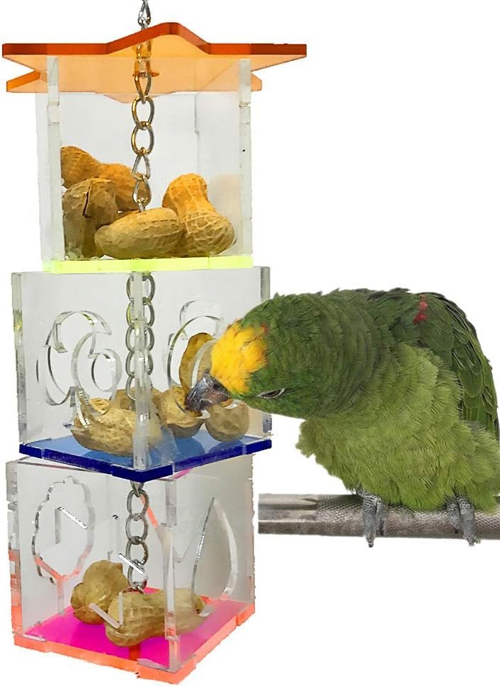 Bird Foraging Toys,Creative Parrot Feeder Box,Hanging Treat Foraging Toy for Anchovies,Parakeets,Cockatiel,Conure,Mynah,Macow